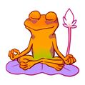 Image of orage frog meditating